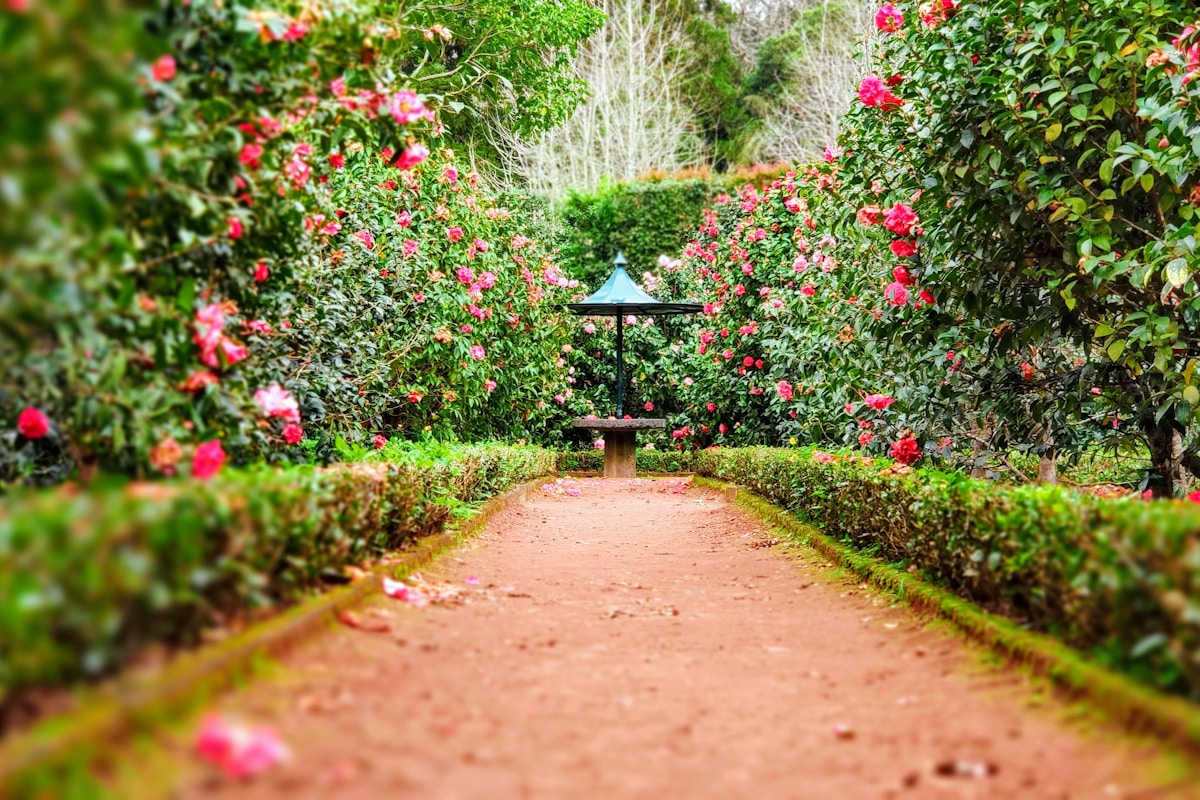 Garden Design